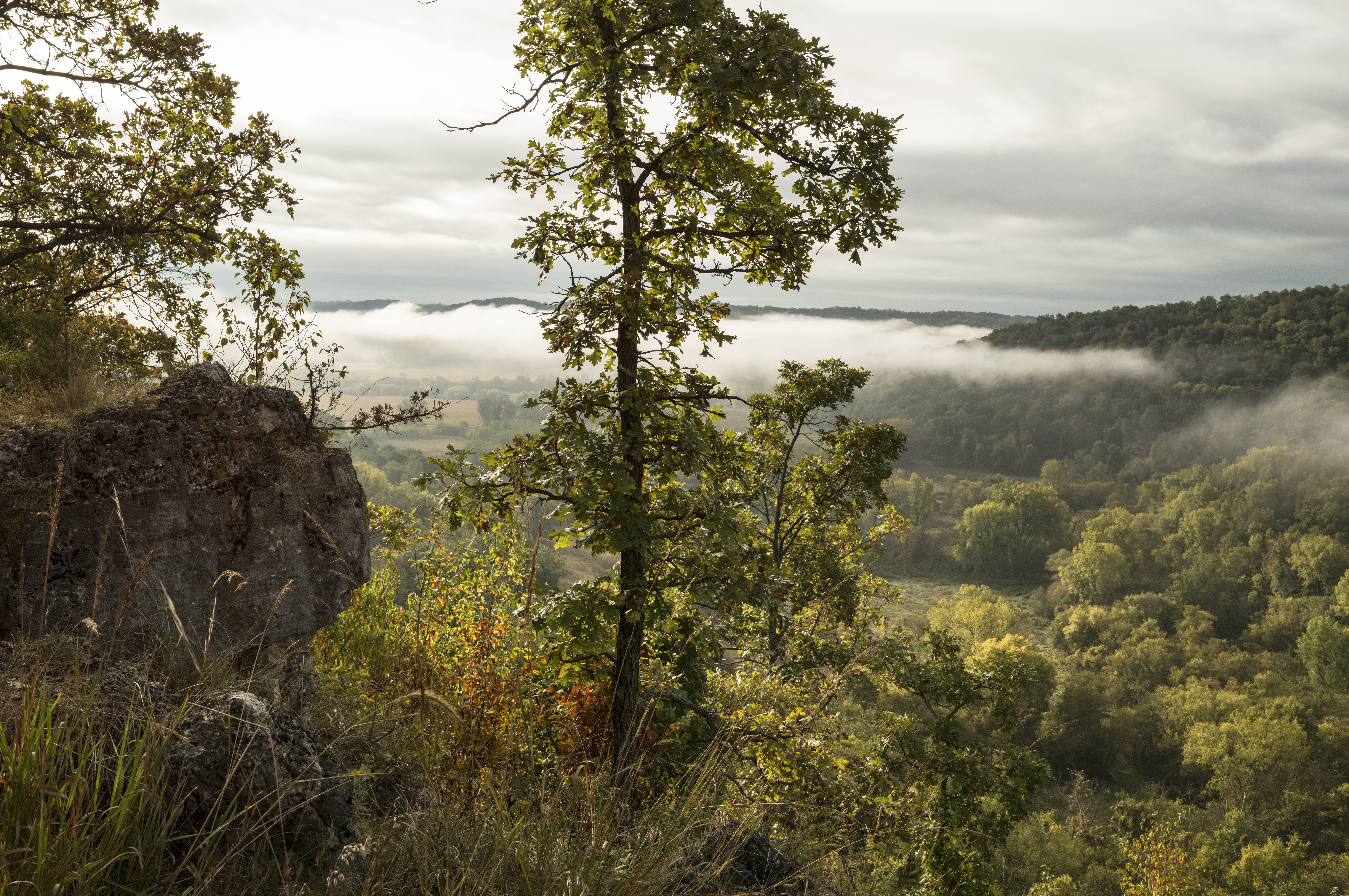 Visitors explore woods within the Southeast Blufflands area.